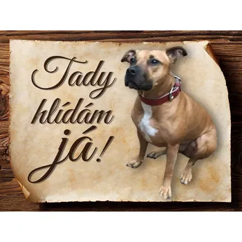Domovní cedule 9004 Cedulka na zakázku 15x11 - Tady hlídám já..