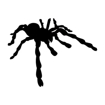 Samolepící dekorace SAMOLEPKA Pavouk 013 - pravá (01 - černá) NA AUTO, NÁLEPKA, FÓLIE, POLEP, TUNING, VLASTNÍ TEXT, TISK, AUTOSAMOLEPKY.cz, POLEPY, OBRÁZEK, LOGO, SAMOLEPKY