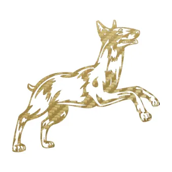 Polep vozidla SAMOLEPKA Pes 015 pravá Bulteriér (59 - 3D karbon zlatý) NA AUTO, NÁLEPKA, FÓLIE, POLEP, TUNING, VLASTNÍ TEXT, TISK, AUTOSAMOLEPKY.cz, POLEPY, OBRÁZEK, LOGO, SAMOLEPKY