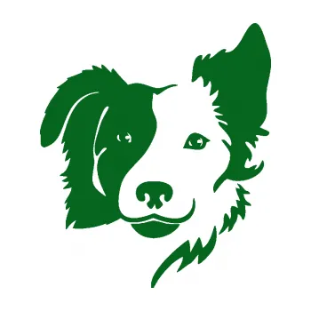 Polep vozidla Pes 099 pravá Border kolie (20 - tmavě zelená) SAMOLEPKA NA AUTO, NÁLEPKA, FÓLIE, POLEP, TUNING, VLASTNÍ TEXT, TISK, AUTOSAMOLEPKY.cz, POLEPY, OBRÁZEK, LOGO, 3D STICKERS