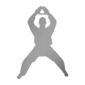 Polep vozidla Karate 003 levá (42 - stříbrná metalíza) SAMOLEPKA NA AUTO, NÁLEPKA, FÓLIE, POLEP, TUNING, VLASTNÍ TEXT, TISK, AUTOSAMOLEPKY.cz, POLEPY, OBRÁZEK, LOGO, 3D STICKERS