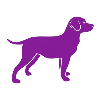 Polep vozidla SAMOLEPKA Pes 062 pravá Labrador (14 - fialová) NA AUTO, NÁLEPKA, FÓLIE, POLEP, TUNING, VLASTNÍ TEXT, TISK, AUTOSAMOLEPKY.cz, POLEPY, OBRÁZEK, LOGO, SAMOLEPKY