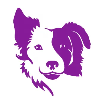 Polep vozidla Pes 099 levá Border kolie (14 - fialová) SAMOLEPKA NA AUTO, NÁLEPKA, FÓLIE, POLEP, TUNING, VLASTNÍ TEXT, TISK, AUTOSAMOLEPKY.cz, POLEPY, OBRÁZEK, LOGO, 3D STICKERS