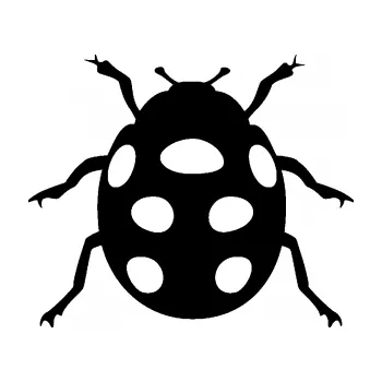 Samolepící dekorace Beruška 003 (01 - černá) SAMOLEPKA NA AUTO, NÁLEPKA, FÓLIE, POLEP, TUNING, VLASTNÍ TEXT, TISK, AUTOSAMOLEPKY.cz, POLEPY, OBRÁZEK, LOGO, 3D STICKERS