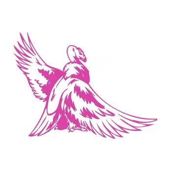 Samolepicí dekorace na vozidlo Predators 071 pravá sup (16 - růžová) SAMOLEPKA NA AUTO, NÁLEPKA, FÓLIE, POLEP, TUNING, VLASTNÍ TEXT, TISK, AUTOSAMOLEPKY.cz, POLEPY, OBRÁZEK, LOGO, 3D STICKERS