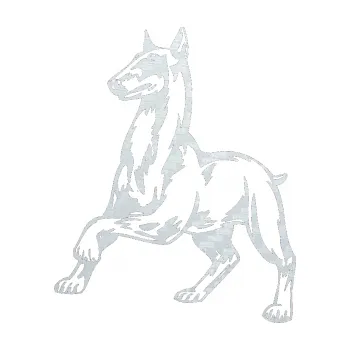 Polep vozidla SAMOLEPKA Pes 027 levá (51 - 3D karbon bílý) NA AUTO, NÁLEPKA, FÓLIE, POLEP, TUNING, VLASTNÍ TEXT, TISK, AUTOSAMOLEPKY.cz, POLEPY, OBRÁZEK, LOGO, SAMOLEPKY