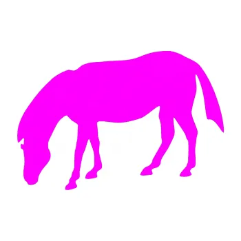 Samolepící dekorace Kůň 006 levá na pastvě (72 - Fluorescentní růžová) SAMOLEPKA NA AUTO, NÁLEPKA, FÓLIE, POLEP, TUNING, VLASTNÍ TEXT, TISK, AUTOSAMOLEPKY.cz, POLEPY, OBRÁZEK, LOGO, 3D STICKERS