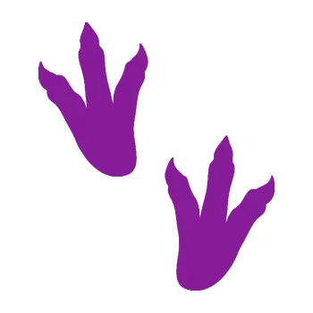 Samolepící dekorace Dinosaurus stopy 001 levá (14 - fialová) SAMOLEPKA NA AUTO, NÁLEPKA, FÓLIE, POLEP, TUNING, VLASTNÍ TEXT, TISK, AUTOSAMOLEPKY.cz, POLEPY, OBRÁZEK, LOGO, 3D STICKERS