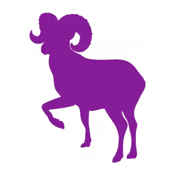 Samolepící dekorace Muflon 002 levá (14 - fialová) SAMOLEPKA NA AUTO, NÁLEPKA, FÓLIE, POLEP, TUNING, VLASTNÍ TEXT, TISK, AUTOSAMOLEPKY.cz, POLEPY, OBRÁZEK, LOGO, 3D STICKERS