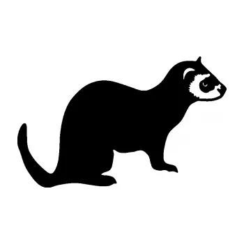 Samolepící dekorace SAMOLEPKA Fretka 001 pravá (01 - černá) NA AUTO, NÁLEPKA, FÓLIE, POLEP, TUNING, VLASTNÍ TEXT, TISK, AUTOSAMOLEPKY.cz, POLEPY, OBRÁZEK, LOGO, SAMOLEPKY