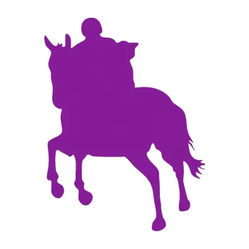 Samolepící dekorace Kůň 021 levá s jezdcem (14 - fialová) SAMOLEPKA NA AUTO, NÁLEPKA, FÓLIE, POLEP, TUNING, VLASTNÍ TEXT, TISK, AUTOSAMOLEPKY.cz, POLEPY, OBRÁZEK, LOGO, 3D STICKERS