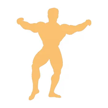 Polep vozidla Kulturista 008 levá (08 - béžová) SAMOLEPKA NA AUTO, NÁLEPKA, FÓLIE, POLEP, TUNING, VLASTNÍ TEXT, TISK, AUTOSAMOLEPKY.cz, POLEPY, OBRÁZEK, LOGO, 3D STICKERS