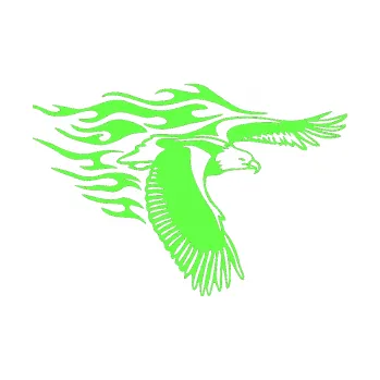 Samolepicí dekorace na vozidlo Animal flames 060 pravá orel (71 - Fluorescentní zelená) SAMOLEPKA NA AUTO, NÁLEPKA, FÓLIE, POLEP, TUNING, VLASTNÍ TEXT, TISK, AUTOSAMOLEPKY.cz, POLEPY, OBRÁZEK, LOGO, 3D STICKERS