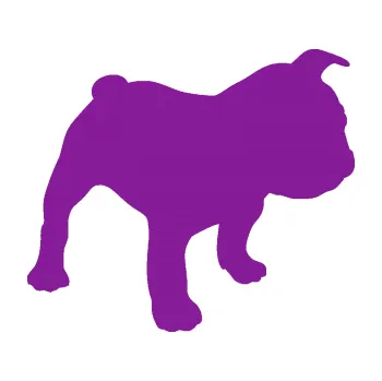 Polep vozidla SAMOLEPKA Pes 108 pravá Francouzský buldoček (14 - fialová) NA AUTO, NÁLEPKA, FÓLIE, POLEP, TUNING, VLASTNÍ TEXT, TISK, AUTOSAMOLEPKY.cz, POLEPY, OBRÁZEK, LOGO, SAMOLEPKY