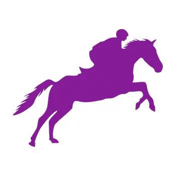 Samolepící dekorace Kůň 019 pravá jezdec v sedle (14 - fialová) SAMOLEPKA NA AUTO, NÁLEPKA, FÓLIE, POLEP, TUNING, VLASTNÍ TEXT, TISK, AUTOSAMOLEPKY.cz, POLEPY, OBRÁZEK, LOGO, 3D STICKERS