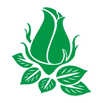 Samolepící dekorace Květina dekor 018 pravá růže (12 - zelená) SAMOLEPKA NA AUTO, NÁLEPKA, FÓLIE, POLEP, TUNING, VLASTNÍ TEXT, TISK, AUTOSAMOLEPKY.cz, POLEPY, OBRÁZEK, LOGO, 3D STICKERS