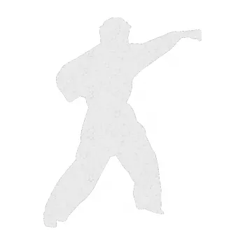 Polep vozidla Karate 010 pravá (84 - Ultra Metalic bílá) SAMOLEPKA NA AUTO, NÁLEPKA, FÓLIE, POLEP, TUNING, VLASTNÍ TEXT, TISK, AUTOSAMOLEPKY.cz, POLEPY, OBRÁZEK, LOGO, 3D STICKERS