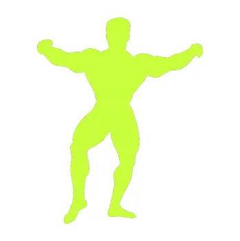 Polep vozidla Kulturista 008 levá (27 - limetová) SAMOLEPKA NA AUTO, NÁLEPKA, FÓLIE, POLEP, TUNING, VLASTNÍ TEXT, TISK, AUTOSAMOLEPKY.cz, POLEPY, OBRÁZEK, LOGO, 3D STICKERS