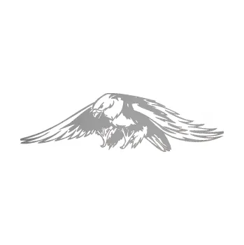 Samolepicí dekorace na vozidlo Predators 074 levá (42 - stříbrná metalíza) SAMOLEPKA NA AUTO, NÁLEPKA, FÓLIE, POLEP, TUNING, VLASTNÍ TEXT, TISK, AUTOSAMOLEPKY.cz, POLEPY, OBRÁZEK, LOGO, 3D STICKERS