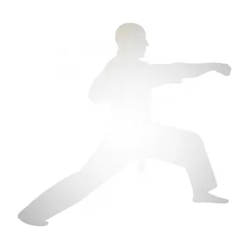 Polep vozidla SAMOLEPKA Judo 001 pravá (82 - odrazková reflexní bílá) NA AUTO, NÁLEPKA, FÓLIE, POLEP, TUNING, VLASTNÍ TEXT, TISK, AUTOSAMOLEPKY.cz, POLEPY, OBRÁZEK, LOGO, SAMOLEPKY