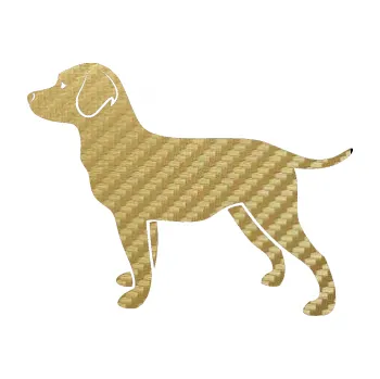 Polep vozidla SAMOLEPKA Pes 062 levá Labrador (59 - 3D karbon zlatý) NA AUTO, NÁLEPKA, FÓLIE, POLEP, TUNING, VLASTNÍ TEXT, TISK, AUTOSAMOLEPKY.cz, POLEPY, OBRÁZEK, LOGO, SAMOLEPKY