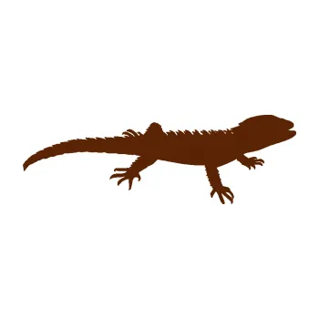 Samolepící dekorace Agama 001 pravá (15 - hnědá) SAMOLEPKA NA AUTO, NÁLEPKA, FÓLIE, POLEP, TUNING, VLASTNÍ TEXT, TISK, AUTOSAMOLEPKY.cz, POLEPY, OBRÁZEK, LOGO, 3D STICKERS