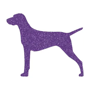 Polep vozidla SAMOLEPKA Pes 052 levá Ohař (87 - Ultra Metalic fialová) NA AUTO, NÁLEPKA, FÓLIE, POLEP, TUNING, VLASTNÍ TEXT, TISK, AUTOSAMOLEPKY.cz, POLEPY, OBRÁZEK, LOGO, SAMOLEPKY