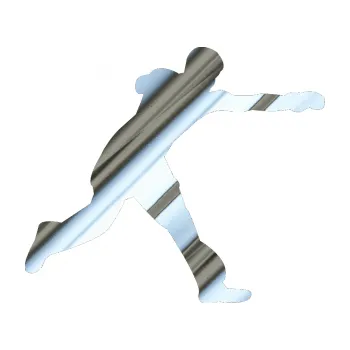 Polep vozidla Karate 004 pravá (80 - chrom fólie stříbrná zrcadlová) SAMOLEPKA NA AUTO, NÁLEPKA, FÓLIE, POLEP, TUNING, VLASTNÍ TEXT, TISK, AUTOSAMOLEPKY.cz, POLEPY, OBRÁZEK, LOGO, 3D STICKERS