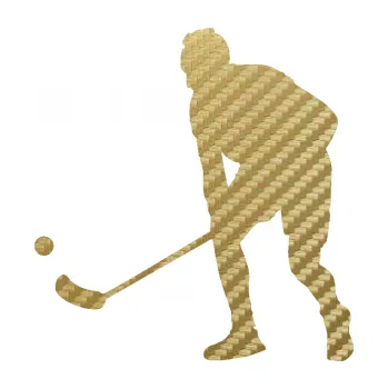 Samolepicí dekorace na vozidlo Florbal 002 levá (59 - 3D karbon zlatý) SAMOLEPKA NA AUTO, NÁLEPKA, FÓLIE, POLEP, TUNING, VLASTNÍ TEXT, TISK, AUTOSAMOLEPKY.cz, POLEPY, OBRÁZEK, LOGO, 3D STICKERS