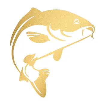 Polep vozidla SAMOLEPKA NA AUTO Kapr 005 pravá (43 - zlatá metalíza) NÁLEPKA, FÓLIE, POLEP, TUNING, VLASTNÍ TEXT, TISK, AUTOSAMOLEPKY.cz, POLEPY, OBRÁZEK, LOGO, SAMOLEPKY