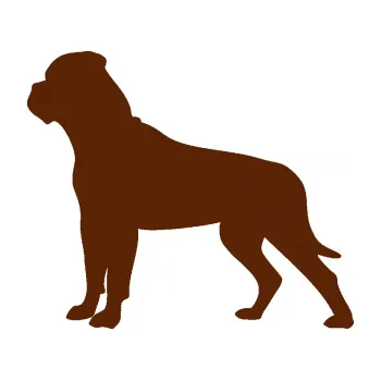 Polep vozidla SAMOLEPKA Pes 150 levá bullmastif (15 - hnědá) NA AUTO, NÁLEPKA, FÓLIE, POLEP, TUNING, VLASTNÍ TEXT, TISK, AUTOSAMOLEPKY.cz, POLEPY, OBRÁZEK, LOGO, SAMOLEPKY