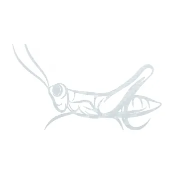 Samolepící dekorace Kobylka 001 levá (51 - 3D karbon bílý) SAMOLEPKA NA AUTO, NÁLEPKA, FÓLIE, POLEP, TUNING, VLASTNÍ TEXT, TISK, AUTOSAMOLEPKY.cz, POLEPY, OBRÁZEK, LOGO, 3D STICKERS