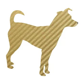 Polep vozidla SAMOLEPKA Pes 100 pravá Pražský krysařík (59 - 3D karbon zlatý) NA AUTO, NÁLEPKA, FÓLIE, POLEP, TUNING, VLASTNÍ TEXT, TISK, AUTOSAMOLEPKY.cz, POLEPY, OBRÁZEK, LOGO, SAMOLEPKY