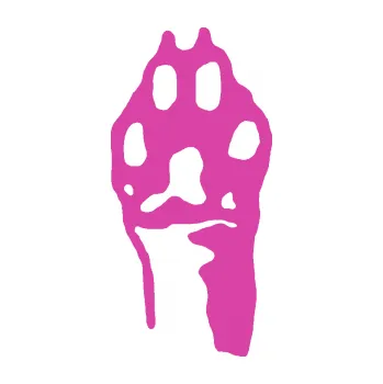 samolepka Packa 001 levá (16 - růžová) SAMOLEPKA NA AUTO, NÁLEPKA, FÓLIE, POLEP, TUNING, VLASTNÍ TEXT, TISK, AUTOSAMOLEPKY.cz, POLEPY, OBRÁZEK, LOGO, 3D STICKERS