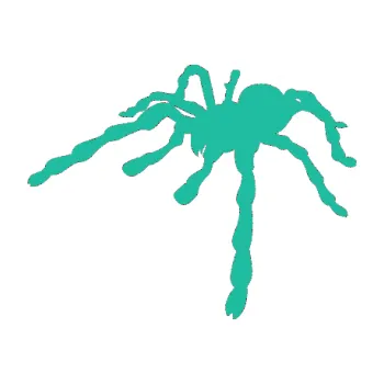 Samolepící dekorace Pavouk 013 - levá (25 - tyrkysová) SAMOLEPKA NA AUTO, NÁLEPKA, FÓLIE, POLEP, TUNING, VLASTNÍ TEXT, TISK, AUTOSAMOLEPKY.cz, POLEPY, OBRÁZEK, LOGO, 3D STICKERS