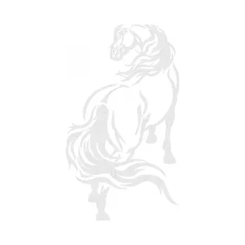 Samolepící dekorace SAMOLEPKA Kůň 051 levá (84 - Ultra Metalic bílá) NA AUTO, NÁLEPKA, FÓLIE, POLEP, TUNING, VLASTNÍ TEXT, TISK, AUTOSAMOLEPKY.cz, POLEPY, OBRÁZEK, LOGO, SAMOLEPKY