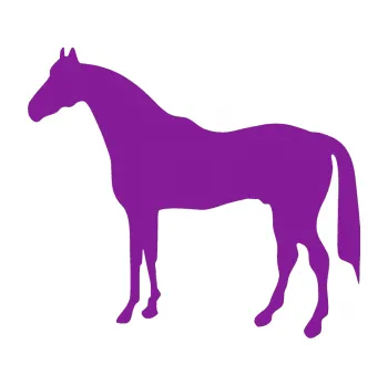 Samolepící dekorace Kůň 004 levá (14 - fialová) SAMOLEPKA NA AUTO, NÁLEPKA, FÓLIE, POLEP, TUNING, VLASTNÍ TEXT, TISK, AUTOSAMOLEPKY.cz, POLEPY, OBRÁZEK, LOGO, 3D STICKERS