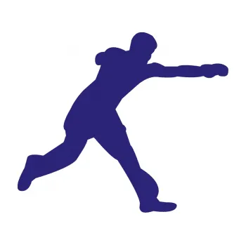 Polep vozidla Karate 004 pravá (22 - střední modrá) SAMOLEPKA NA AUTO, NÁLEPKA, FÓLIE, POLEP, TUNING, VLASTNÍ TEXT, TISK, AUTOSAMOLEPKY.cz, POLEPY, OBRÁZEK, LOGO, 3D STICKERS