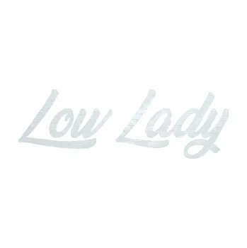 Polep vozidla SAMOLEPKA Low lady nápis (51 - 3D karbon bílý) NA AUTO, NÁLEPKA, FÓLIE, POLEP, TUNING, VLASTNÍ TEXT, TISK, AUTOSAMOLEPKY.cz, POLEPY, OBRÁZEK, LOGO, SAMOLEPKY