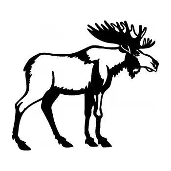 Samolepící dekorace SAMOLEPKA Los 005 pravá (01 - černá) NA AUTO, NÁLEPKA, FÓLIE, POLEP, TUNING, VLASTNÍ TEXT, TISK, AUTOSAMOLEPKY.cz, POLEPY, OBRÁZEK, LOGO, SAMOLEPKY