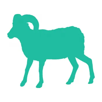 Samolepící dekorace SAMOLEPKA Kozel 004 levá (25 - tyrkysová) NA AUTO, NÁLEPKA, FÓLIE, POLEP, TUNING, VLASTNÍ TEXT, TISK, AUTOSAMOLEPKY.cz, POLEPY, OBRÁZEK, LOGO, SAMOLEPKY