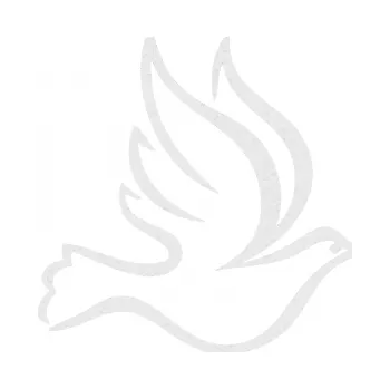 Samolepicí dekorace na vozidlo Holubička 001 pravá (84 - Ultra Metalic bílá) SAMOLEPKA NA AUTO, NÁLEPKA, FÓLIE, POLEP, TUNING, VLASTNÍ TEXT, TISK, AUTOSAMOLEPKY.cz, POLEPY, OBRÁZEK, LOGO, 3D STICKERS