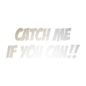 Polep vozidla SAMOLEPKA Catch me if you can (82 - odrazková reflexní bílá) NA AUTO, NÁLEPKA, FÓLIE, POLEP, TUNING, VLASTNÍ TEXT, TISK, AUTOSAMOLEPKY.cz, POLEPY, OBRÁZEK, LOGO, SAMOLEPKY