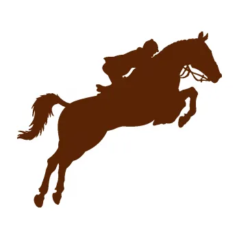 Samolepící dekorace Kůň 076 pravá parkur (15 - hnědá) SAMOLEPKA NA AUTO, NÁLEPKA, FÓLIE, POLEP, TUNING, VLASTNÍ TEXT, TISK, AUTOSAMOLEPKY.cz, POLEPY, OBRÁZEK, LOGO, 3D STICKERS