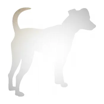 Polep vozidla SAMOLEPKA Pes 098 pravá Pražský krysařík (82 - odrazková reflexní bílá) NA AUTO, NÁLEPKA, FÓLIE, POLEP, TUNING, VLASTNÍ TEXT, TISK, AUTOSAMOLEPKY.cz, POLEPY, OBRÁZEK, LOGO, SAMOLEPKY