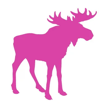 Samolepící dekorace Los 002 pravá (16 - růžová) SAMOLEPKA NA AUTO, NÁLEPKA, FÓLIE, POLEP, TUNING, VLASTNÍ TEXT, TISK, AUTOSAMOLEPKY.cz, POLEPY, OBRÁZEK, LOGO, 3D STICKERS