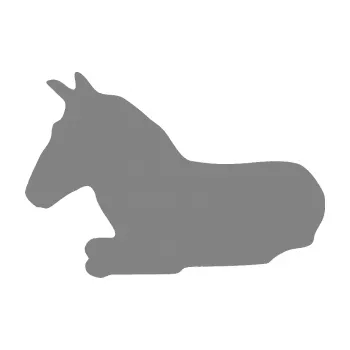 Samolepící dekorace SAMOLEPKA Kůň 017 levá ležící (17 - šedá) NA AUTO, NÁLEPKA, FÓLIE, POLEP, TUNING, VLASTNÍ TEXT, TISK, AUTOSAMOLEPKY.cz, POLEPY, OBRÁZEK, LOGO, SAMOLEPKY
