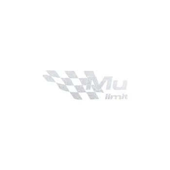 Polep vozidla SAMOLEPKA Multipla limited edition levá (60 - pískované sklo) NA AUTO, NÁLEPKA, FÓLIE, POLEP, TUNING, VLASTNÍ TEXT, TISK, AUTOSAMOLEPKY.cz, POLEPY, OBRÁZEK, LOGO, SAMOLEPKY