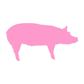 Samolepící dekorace SAMOLEPKA Prase 002 pravá (24 - světle růžová) NA AUTO, NÁLEPKA, FÓLIE, POLEP, TUNING, VLASTNÍ TEXT, TISK, AUTOSAMOLEPKY.cz, POLEPY, OBRÁZEK, LOGO, SAMOLEPKY