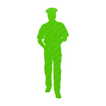 Samolepící dekorace SAMOLEPKA Policajt 003 pravá (58 - 3D karbon zelený kawasaki) NA AUTO, NÁLEPKA, FÓLIE, POLEP, TUNING, VLASTNÍ TEXT, TISK, AUTOSAMOLEPKY.cz, POLEPY, OBRÁZEK, LOGO, SAMOLEPKY